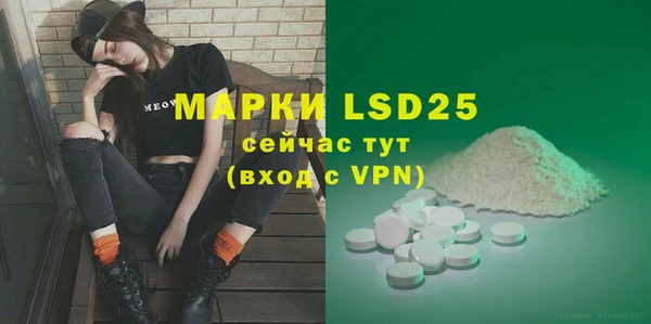 сатива Аркадак