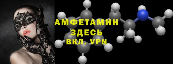 сатива Аркадак