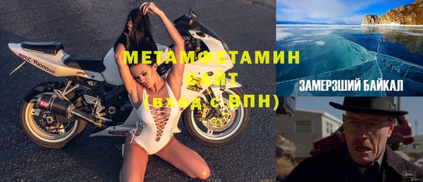 сатива Аркадак