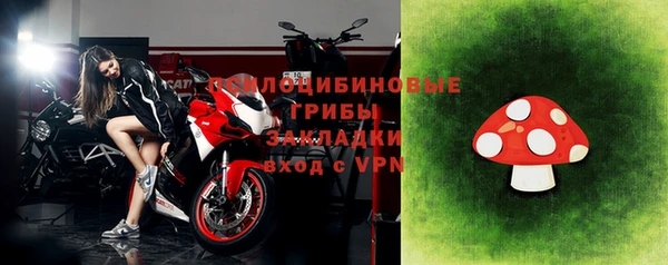 сатива Аркадак